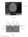 Fig. 06 - ANALYTE SENSOR CHIPS