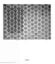 Fig. 09 - Creating and harvesting surface-bound emulsion