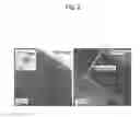 Fig. 03 - COMPOSITE OXIDE MATERIAL AND EXHAUST GAS PURIFYING CATALYST USING THE SAME