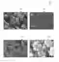Fig. 01 - Hierarchical porous monoliths and methods for their preparation and use