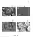 Fig. 06 - Hierarchical porous monoliths and methods for their preparation and use