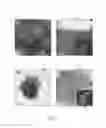 Fig. 07 - Hierarchical porous monoliths and methods for their preparation and use