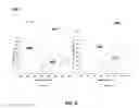 Fig. 07 - Synergized PGM Catalyst Systems for Diesel Oxidation Catalyst Applications