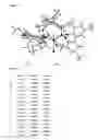 Fig. 02 - Unsymmetric bisphosphite
