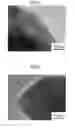 Fig. 02 - Method for producing metal nanoparticle complex, and metal nanoparticle complex produced by said method