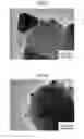 Fig. 03 - Method for producing metal nanoparticle complex, and metal nanoparticle complex produced by said method