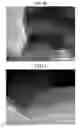 Fig. 08 - Method for producing metal nanoparticle complex, and metal nanoparticle complex produced by said method