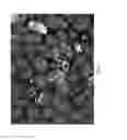 Fig. 10 - METHOD FOR GENERATING HIGH SPHERICITY SEED AND FLUIDIZED BED GRANULAR SILICON