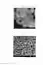 Fig. 09 - Manufacturing method of spherical gold (Au) nanoparticles and spherical gold (Au) nanoparticle manufactured by using the same