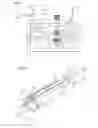 Fig. 02 - Device and method for separating a longitudinally-extended cylindrical workpiece
