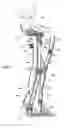 Fig. 02 - Robotic exoskeleton with adaptive viscous user coupling