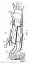Fig. 07 - Robotic exoskeleton with adaptive viscous user coupling