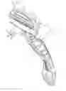 Fig. 01 - Razor