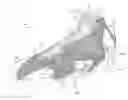 Fig. 01 - Footwear upper components having contoured foam regions and methods of forming such components