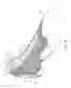 Fig. 03 - Footwear upper components having contoured foam regions and methods of forming such components