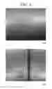 Fig. 09 - INJECTION MOLDING METHOD AND INJECTION MOLDED ARTICLE