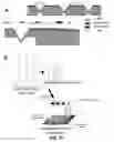 Fig. 28 - High resolution electrohydrodynamic jet printing for manufacturing systems
