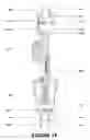 Fig. 07 - Luminous fluid sculptures