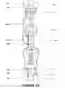 Fig. 08 - Luminous fluid sculptures