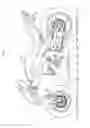Fig. 02 - Saddle riding type vehicle