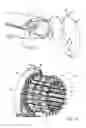 Fig. 05 - Device for the production of tread of a tire casing
