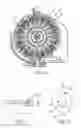 Fig. 06 - Device for the production of tread of a tire casing