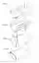Fig. 02 - Display element for displaying information on a push handle