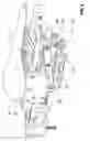 Fig. 06 - Seat post dynamic fit device, stem dynamic fit device and seat post and stem dynamic fit system