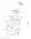 Fig. 08 - ATTACHMENT MEMBER FOR BICYCLES
