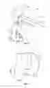 Fig. 06 - Leaning Tricycle