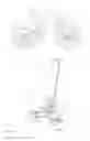 Fig. 02 - FORK COMPONENT FOR AN AT LEAST PARTIALLY MUSCLE-POWERED BICYCLE