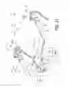 Fig. 22 - Bicycle operating system, take-up device, and bicycle operating apparatus