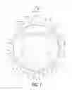 Fig. 02 - Bicycle sprocket
