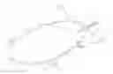 Fig. 01 - Cargo airship
