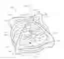 Fig. 01 - Self-righting frame and aeronautical vehicle