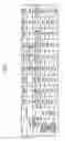 Fig. 04 - Blister package containing the laminated sheet and container