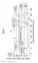 Fig. 07 - Blister package containing the laminated sheet and container