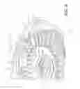 Fig. 05 - Personal intelligent dispenser