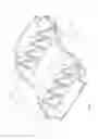 Fig. 04 - Package for eggs