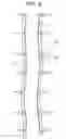 Fig. 09 - Elevator counterweight device