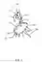 Fig. 04 - Adjustable module lift frame assembly