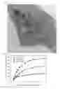 Fig. 09 - Method of synthesising nitride nanocrystals