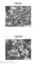 Fig. 06 - METHOD FOR PRODUCING CUPROUS OXIDE FINE PARTICLES, CUPROUS OXIDE FINE PARTICLES AND METHOD OF PRODUCING CONDUCTOR FILM