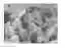 Fig. 01 - Method for producing chiral metal oxide structure, and chiral porous structure