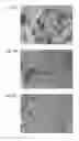 Fig. 06 - Method for producing chiral metal oxide structure, and chiral porous structure