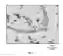 Fig. 04 - PROCESSES FOR INACTIVATING PATHOGENS IN BIO-WASTES