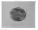 Fig. 01 - METALLIC SURFACES BY METALLOTHERMAL REDUCTION