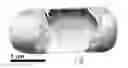Fig. 01 - BACTERIAL CELL WALLS AS VISCOSITY MODIFYING ADMIXTURES OF CONCRETE