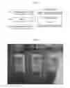 Fig. 02 - METHOD FOR PREPARING GRANULATED BENTONITE FORMED BODY AND GRANULATED BENTONITE FORMED BODY PREPARED THEREBY