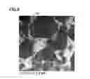 Fig. 07 - Cubic boron nitride sintered body and method for manufacturing the same